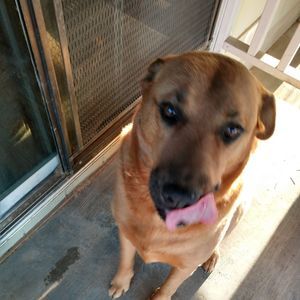 Meet your Posher, Renee